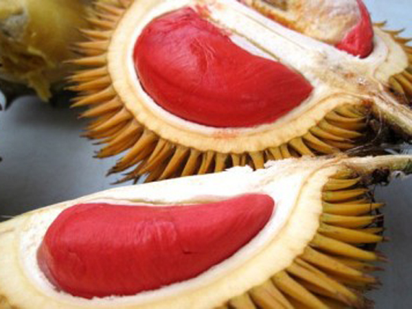 Wow, Durian Merah Asal Banyuwangi Diekspor 400 Ribu Per 2 Kg!