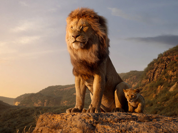 The Lion King 2 Dibuat, Disutradarai Barry Jenkins