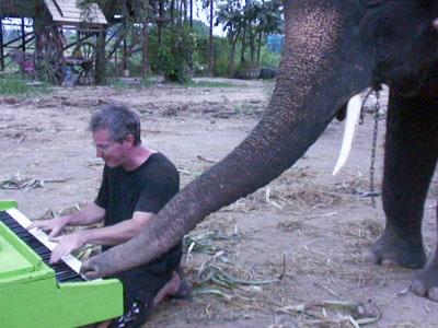 Wah, Seekor Gajah Thailand Ini Senang Bermain Piano!