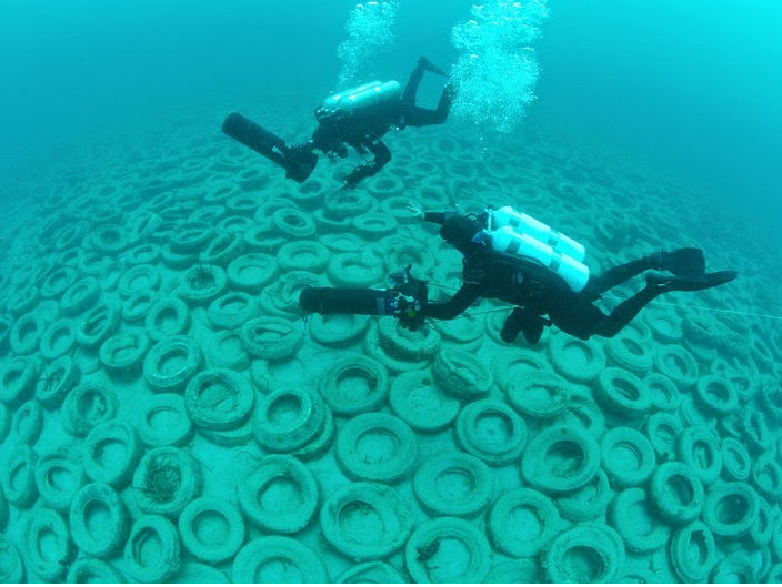 Wah, 2 Juta Ban Ini Tertanam di Kedalaman 7000 meter Pantai Lepas, Florida!