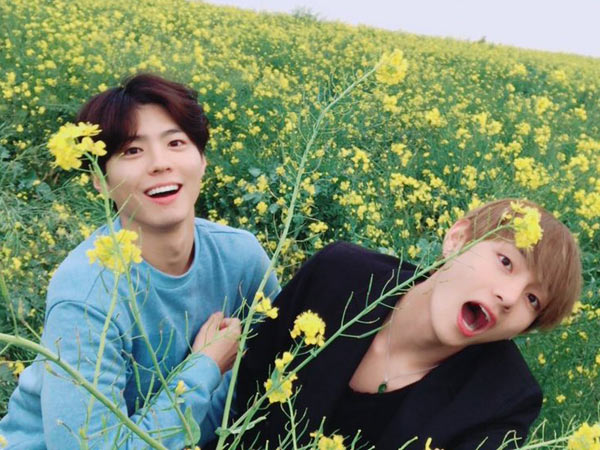 Bromance V BTS dan Park Bo Gum Di Jeju Bikin Meleleh, Ayo Mau Pilih yang Mana?