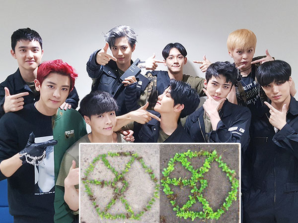 Keren! Penggemar Ini Berhasil Ubah Lahan Seladanya dengan Lambang EXO