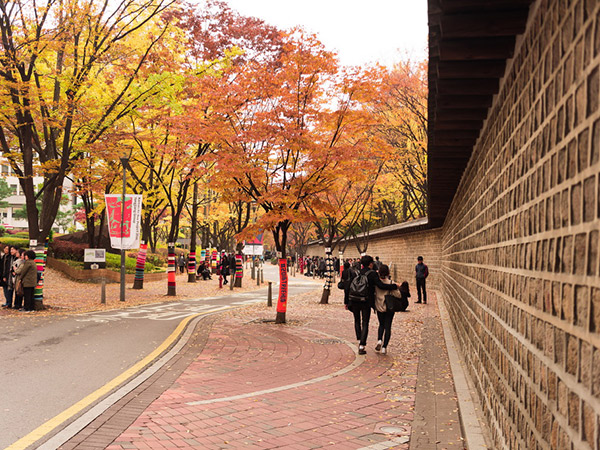 Deoksugung Stone Wall Road, Jalan Favorit untuk Pacaran Romantis di Musim Gugur