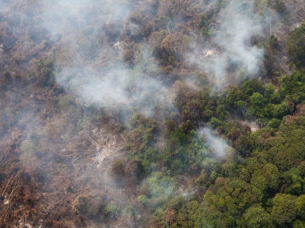 Lima Jam Diguyur Hujan, Api di Sumatera Selatan Belum Padam