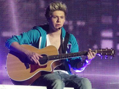 Niall Horan One Direction Segera Dirikan Museum Musik Pribadi!