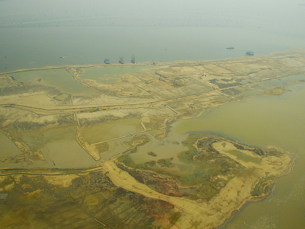 Pembangunan 17 Pulau Buatan di Utara Jakarta Ancam Habitat Elang Bondol