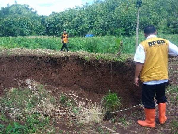 Misteri Munculnya Belasan Lubang Tanah Amblas Gunung Kidul Resahkan Warga