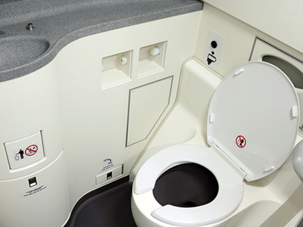 TKW Buang Bayi di Toilet, Ada Larangan Ibu Hamil Tak Boleh Naik Pesawat?