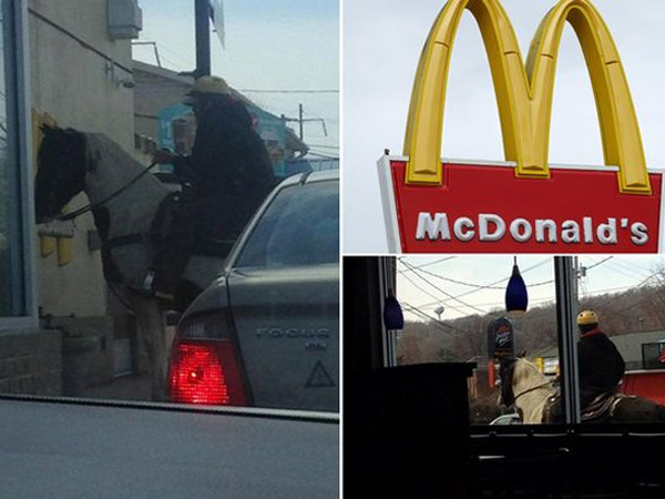 Wah, Kuda Ini Ikut Antri Pesan Drive Thru McDonald's!