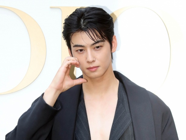Cha Eun Woo Dikabarkan Bintangi Drama Fantasi Bareng Park Eun Bin
