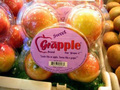 Kenalan dengan Grapple Buah Apel dengan Rasa Anggur