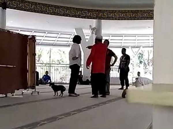 Terungkap Kronologi Tewasnya Anjing yang Viral Dibawa Masuk Masjid oleh Seorang Wanita