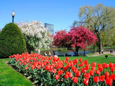 Boston, Kota Wisata Cantik yang Kini Tengah Berduka