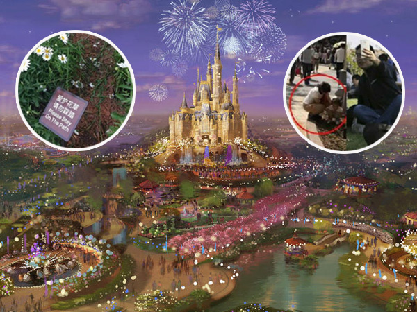 Belum Dibuka, Shanghai Disneyland Diklaim Sudah ‘Hancur’ Oleh 20 Ribu Turis!