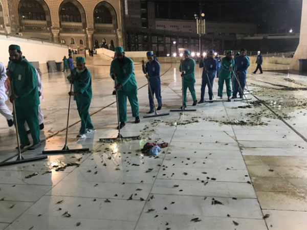 Heboh Fenomena Pertama Kali Terjadi Masjidil Haram Diserbu Serangga Hitam