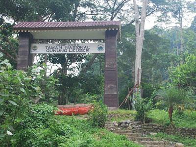 Wow, Taman Nasional Leuser Jadi Tempat Tak Tergantikan di Dunia