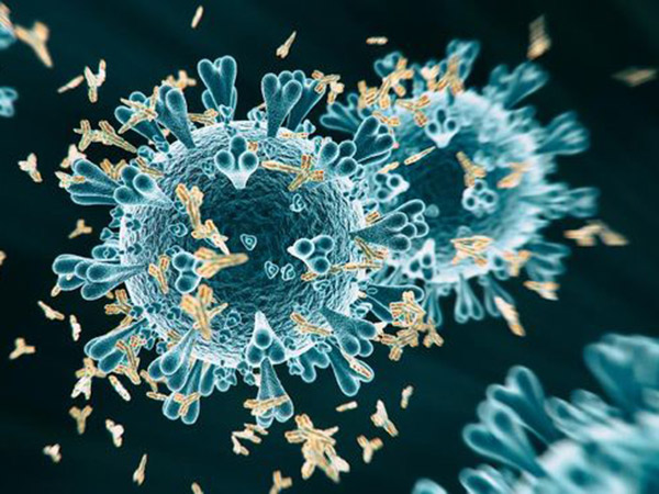 Temuan Virus Corona Baru di Inggris, Kemungkinan Kebal Vaksin