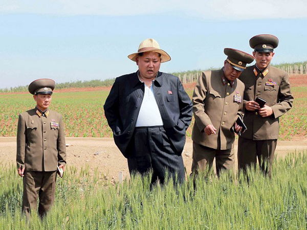 Korea Utara Alami Bencana Kekeringan, Warganya Takut Makan Rumput Lagi