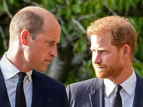 Rilis Memoar, Pangeran Harry Klaim Pangeran William Menyerangnya Secara Fisik