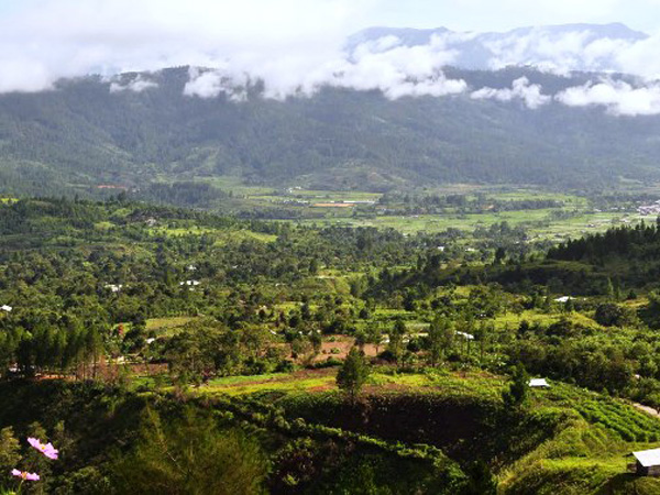 Berkunjung Ke Gayo Lues, Tempat Terisolasi Dan Paling Dingin Di Indonesia