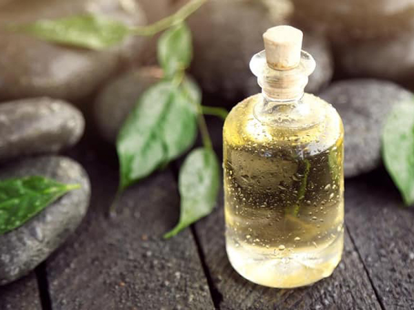 Tea Tree Oil Ternyata Tidak Mengandung Tanaman Teh Sama Sekali?