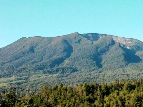 17 Mahasiswa Binus Sempat Hilang di Gunung Gede, 1 Orang Ditemukan Tewas