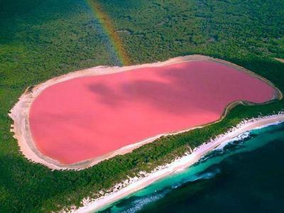 Danau Hillier, Danau Milkshake Strawberry Raksasa di Australia