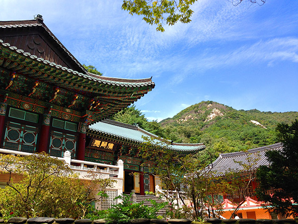 Liburan Aman Menyatu Bersama Alam dengan Protokol Ketat di Kota Daejeon