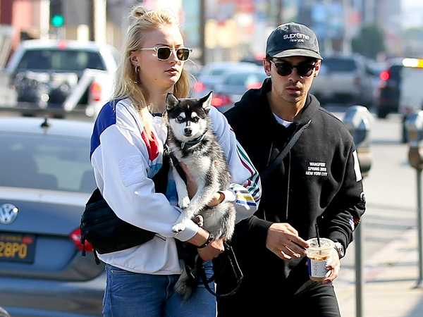 Kehilangan Anjing Kesayangan karena Kecelakaan Tragis, Joe Jonas dan Sophie Turner Kompak Buat Tato