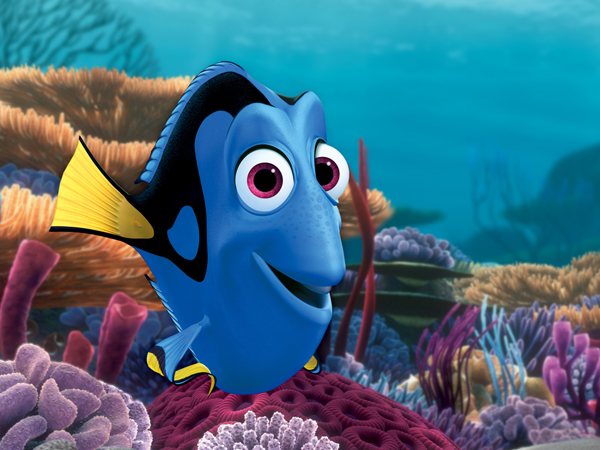 Wah, Plot ‘Finding Dory’ Terungkap Dalam Comic-con Brazil!