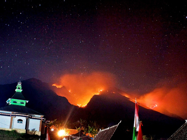 Api Semakin Dekat ke Pemukiman Warga, Kebakaran Hutan Gunung Lawu Belum Bisa Dipadamkan