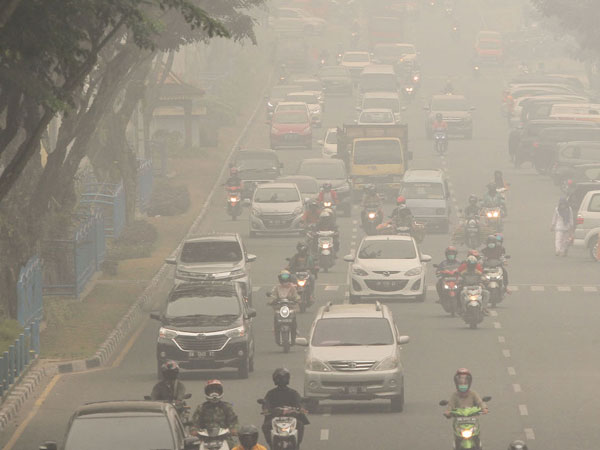 Empat Daerah di Riau Inilah yang Udaranya Berbahaya Untuk Dihirup Akibat Kabut Asap Karhutla
