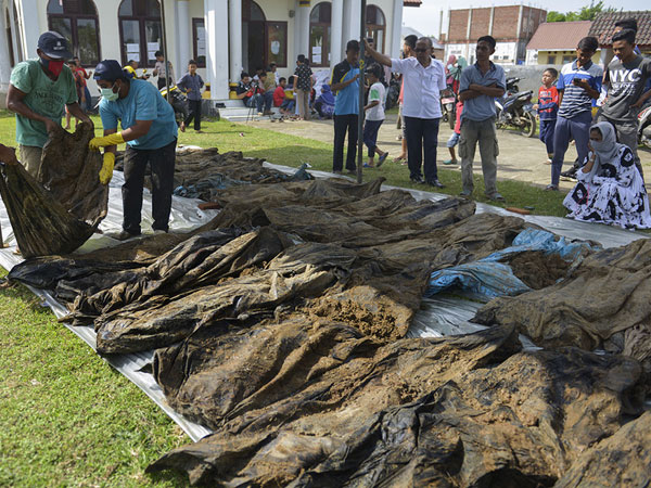 Geger Puluhan Jasad Korban Tsunami Aceh 14 Tahun Lalu Ditemukan Warga