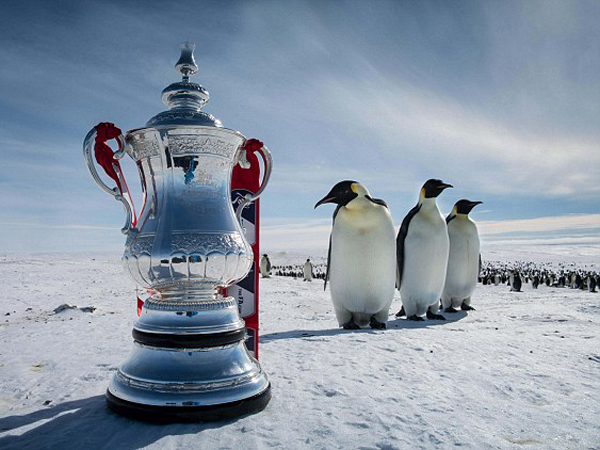 Lucunya Ketika Trofi Piala FA Dikelilingi Penguin di Kutub Selatan!