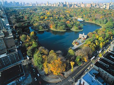 Taman Raksasa di Jantung Kota New York