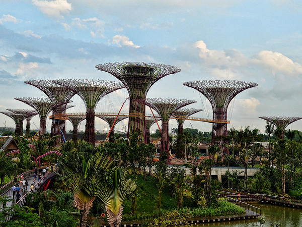 Mengenal Keistimewaan ‘Pohon Super’ di Garden by the Bay, Singapura