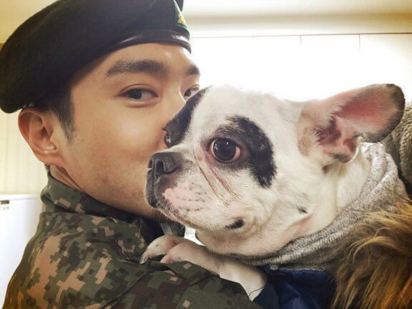 Pemerintah Korea Selatan Perketat Hukum Baru Terkait Insiden Anjing Peliharaan Siwon SJ