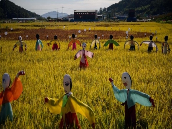 Kreatif, Pedesaan Ini Sebar Pesan Semangat Lawan COVID-19 dengan Media Sawah