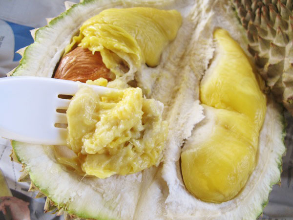 Musim Durian Tiba, Simak Durian-Durian Unik Dari Indonesia!