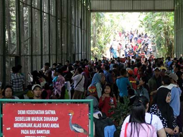 Tiket Masuk Murah Meriah, Ragunan Dipadati Pengunjung