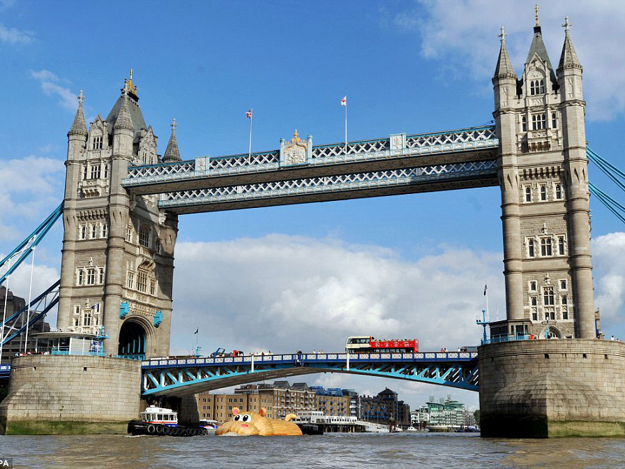 Wah, Ada Kuda Nil Raksasa Berenang di Sungai Thames, London!