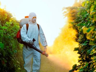Wah, Ternyata Penduduk Kota Lebih Rentan Terpapar Pestisida