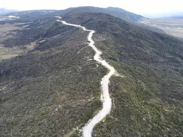 Disebut 'Unggulan' Jokowi, Intip Jalur Trans Papua yang Memukau Membelah Gunung dan Hutan