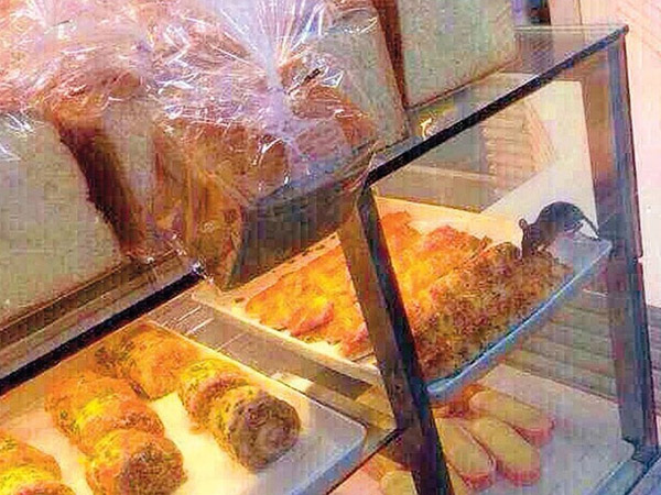 Hiii, Seekor Tikus Terlihat Gigiti Roti di Dalam Display Kaca Toko Roti Terkenal di Cina!