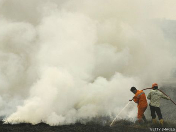 Kabut Asap Sampai Jakarta, Apa Tindakan Pemerintah?