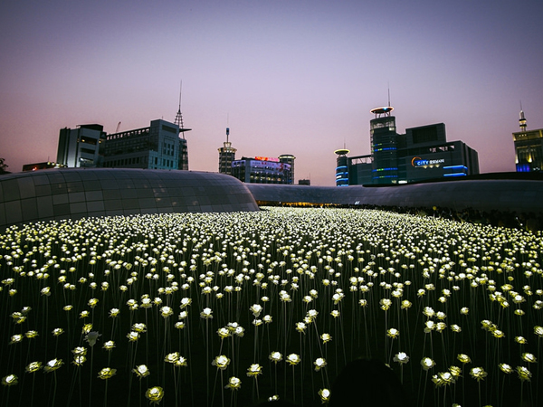 Indahnya Taman Bunga Di Seoul yang Berubah Menjadi Lautan Bintang Di Malam Hari