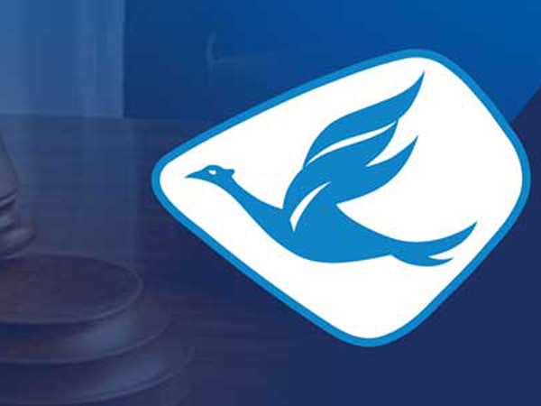 Masalah Internal, Logo Blue Bird Digugat