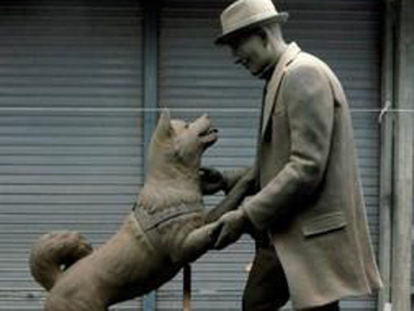 Hachiko Si Anjing Setia Akhirnya Bertemu dengan Majikannya