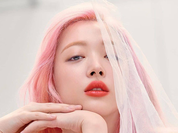 Sulli Jadi Korban, Netizen Ramai Buat Petisi Tuntut Haters ke Istana Negara