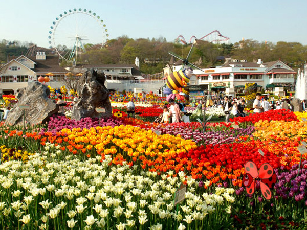 Nikmati Sensasi Musim Semi di Everland Tulip Festival